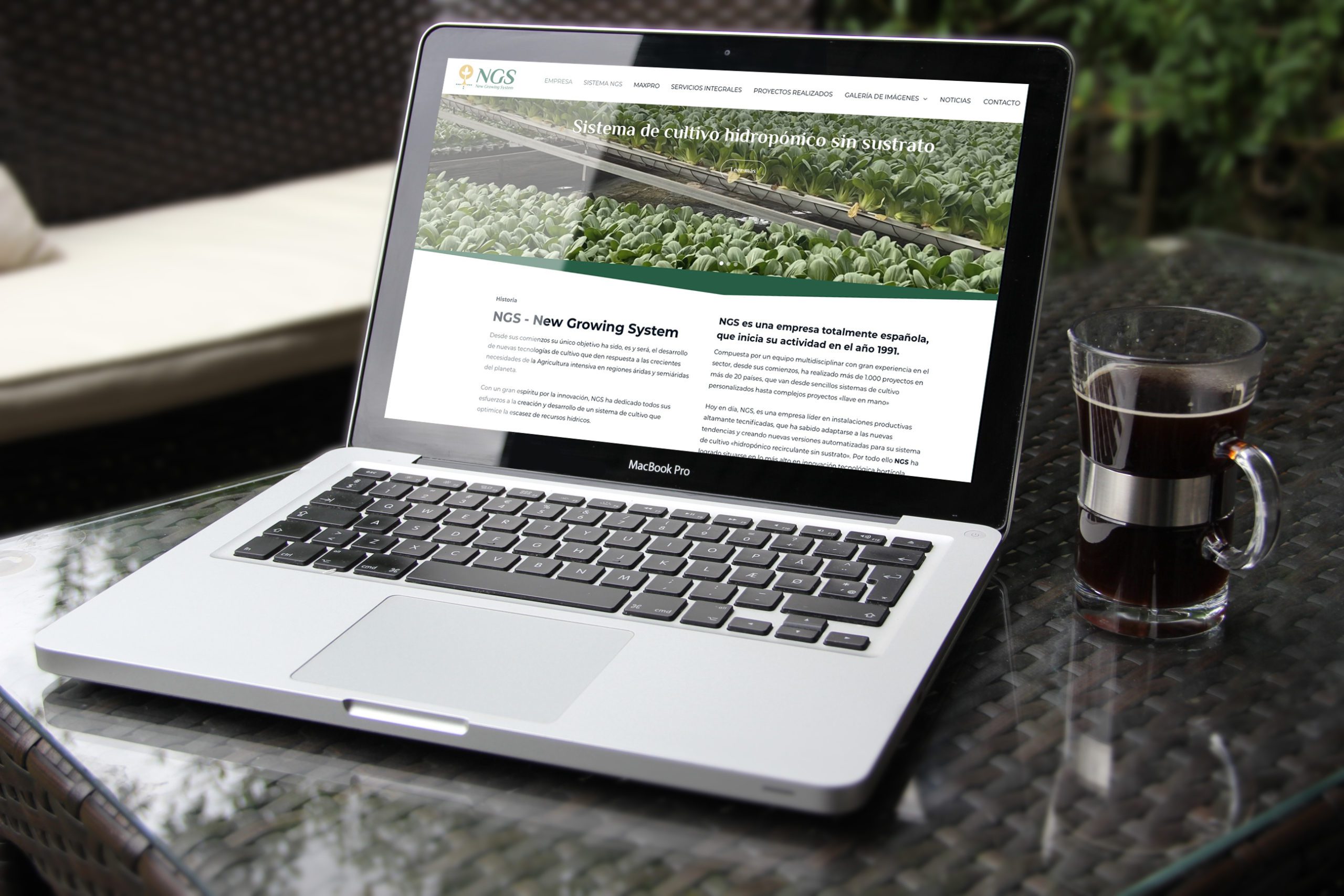 Diseño web NGS