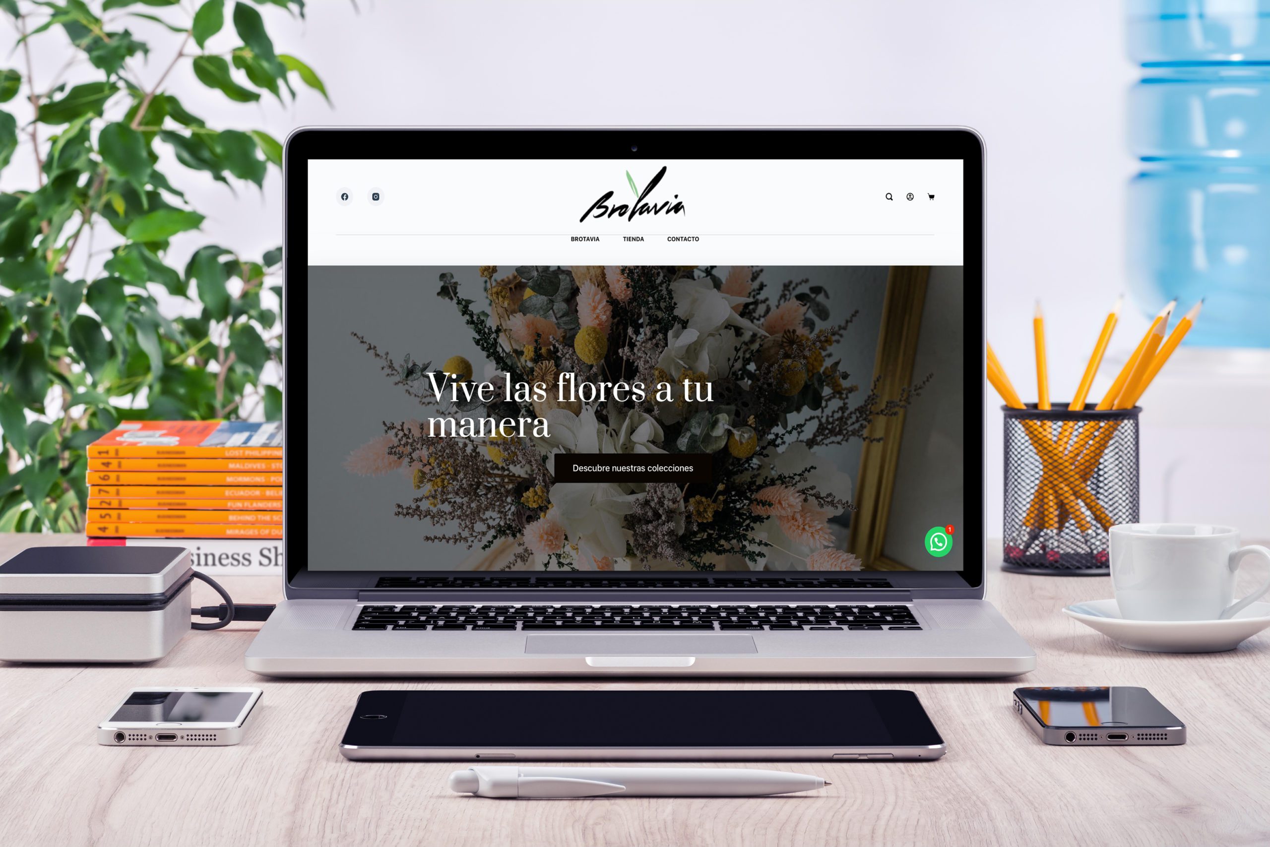 diseño página web